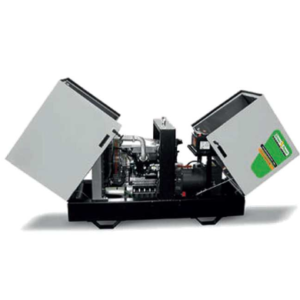 Gruppo elettrogeno Silenziato Green Power GP22 SH/KW-C- 22 kVA Trifase ( 16 kW ) - Motore Kohler